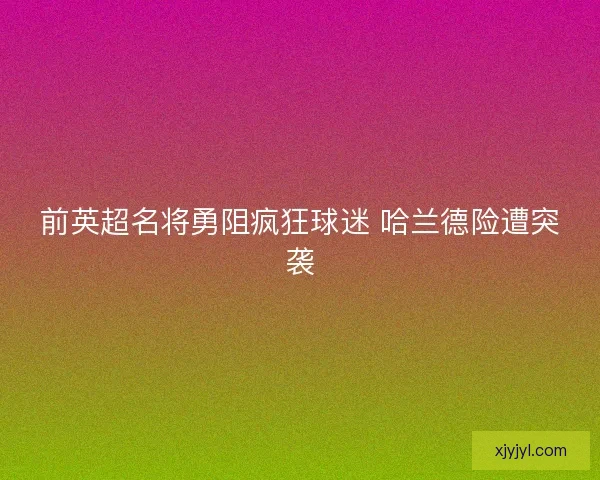 前英超名将勇阻疯狂球迷 哈兰德险遭突袭 前英超名将勇阻疯狂球迷 哈兰德险遭突袭