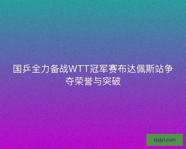 国乒全力备战WTT冠军赛布达佩斯站争夺荣誉与突破