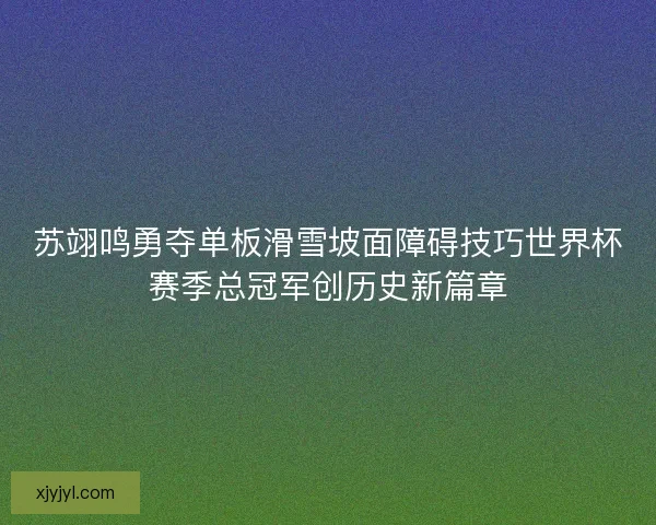 苏翊鸣勇夺单板滑雪坡面障碍技巧世界杯赛季总冠军创历史新篇章