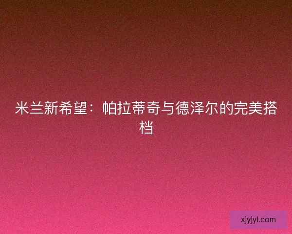 米兰新希望：帕拉蒂奇与德泽尔的完美搭档