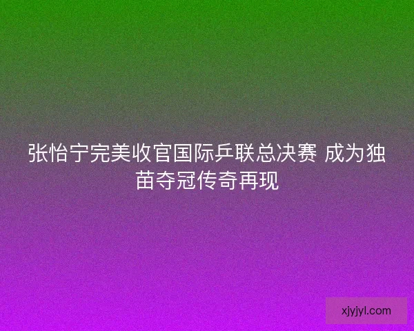 张怡宁完美收官国际乒联总决赛 成为独苗夺冠传奇再现 张怡宁完美收官国际乒联总决赛 成为独苗夺冠传奇再现